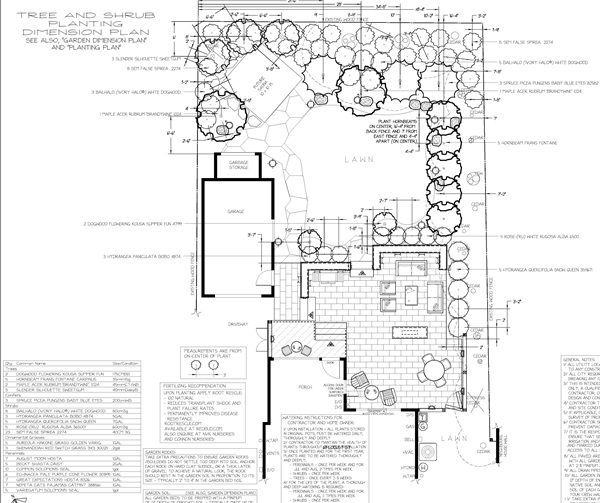 Dimension Plan - Tree & Shrub